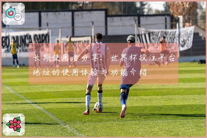 长期使用者分享:世界杯投注平台地址的使用体验与功能介绍