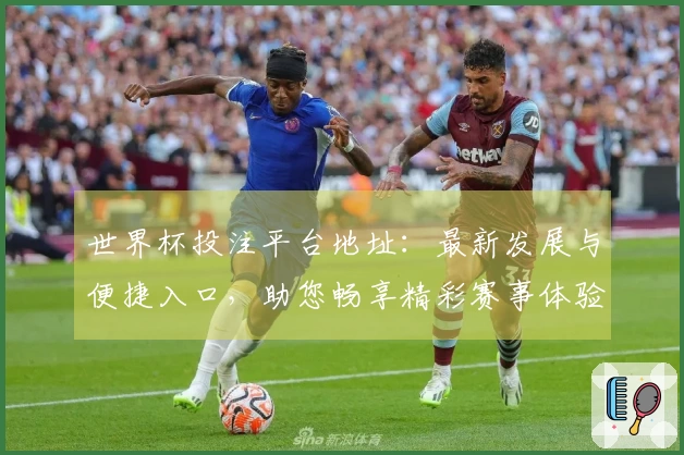 世界杯投注平台地址：最新发展与便捷入口，助您畅享精彩赛事体验