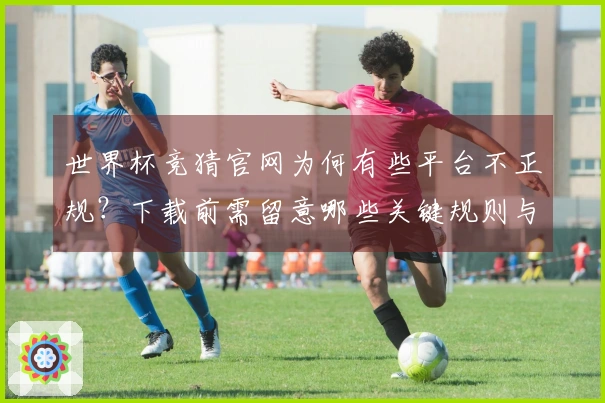 世界杯竞猜官网为何有些平台不正规？下载前需留意哪些关键规则与差异