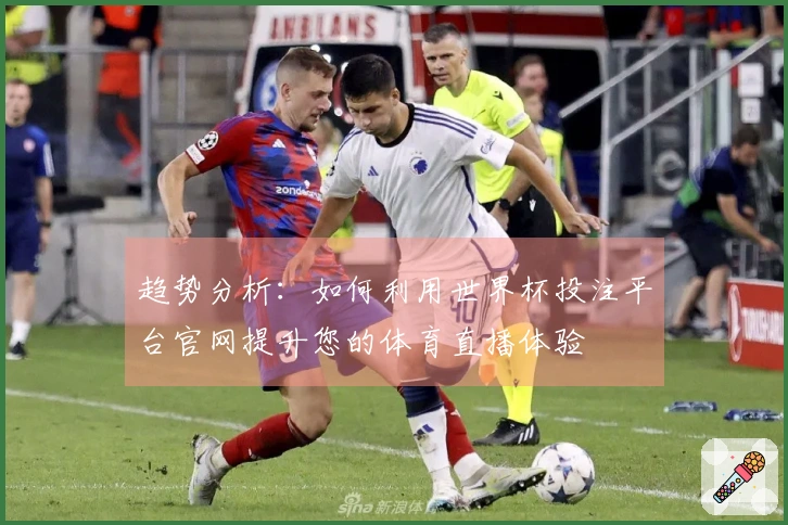趋势分析：如何利用世界杯投注平台官网提升您的体育直播体验