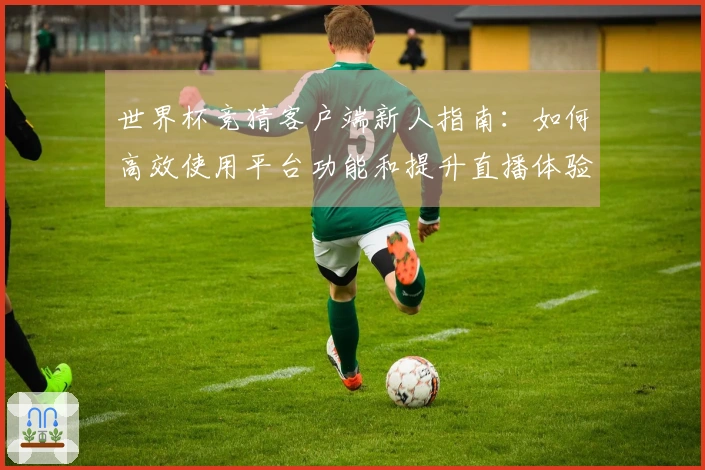世界杯竞猜客户端新人指南：如何高效使用平台功能和提升直播体验