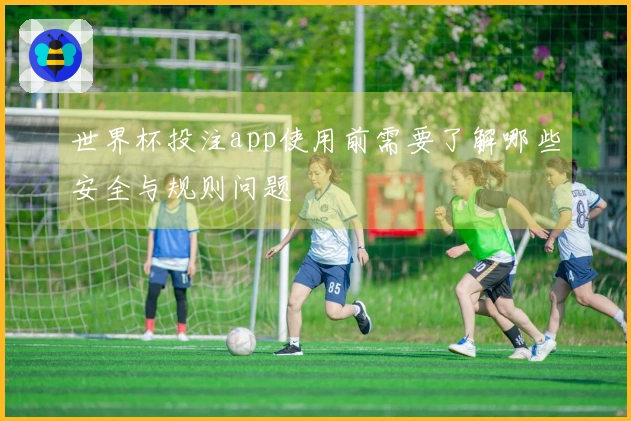 世界杯投注app使用前需要了解哪些安全与规则问题