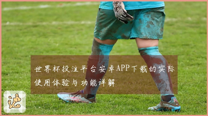 世界杯投注平台安卓APP下载的实际使用体验与功能详解