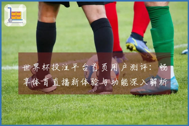 世界杯投注平台首页用户测评：畅享体育直播新体验与功能深入解析