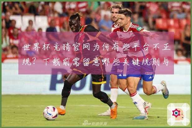 世界杯竞猜官网为何有些平台不正规？下载前需留意哪些关键规则与差异