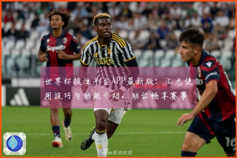 世界杯投注平台APP最新版：汇总使用技巧与功能介绍，助你畅享赛事体验