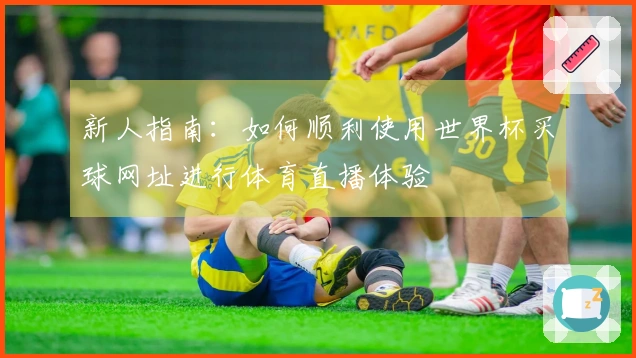 新人指南：如何顺利使用世界杯买球网址进行体育直播体验