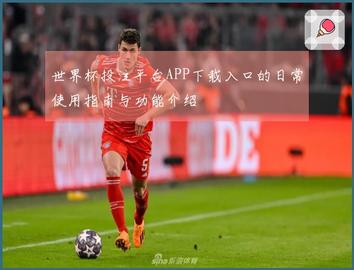 世界杯投注平台APP下载入口的日常使用指南与功能介绍