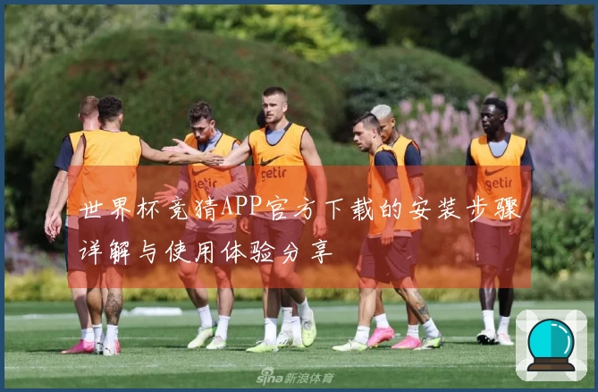 世界杯竞猜APP官方下载的安装步骤详解与使用体验分享